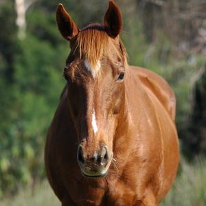 Meet your Posher, Genevieve